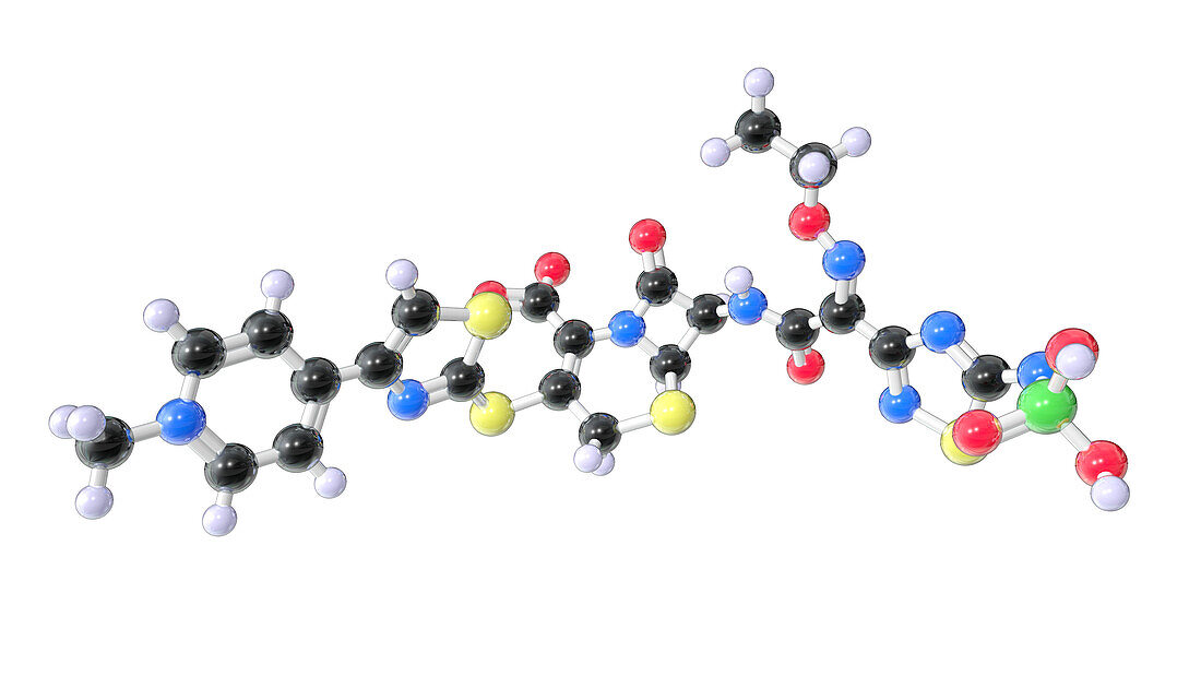 Ceftaroline antibiotic drug, molecular model