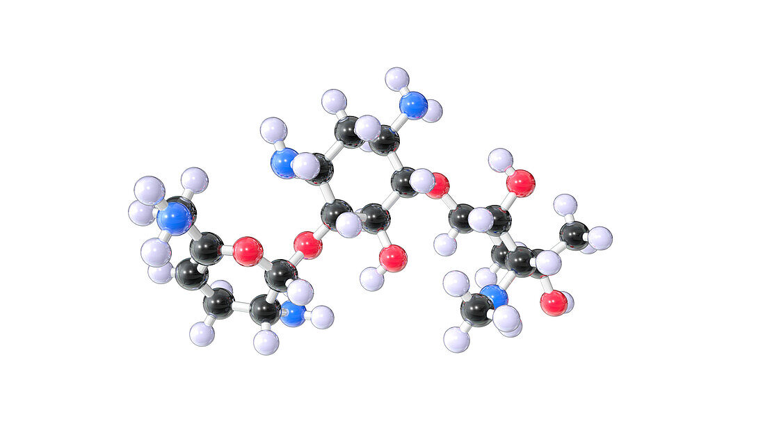 Sisomicin antibiotic drug, molecular model