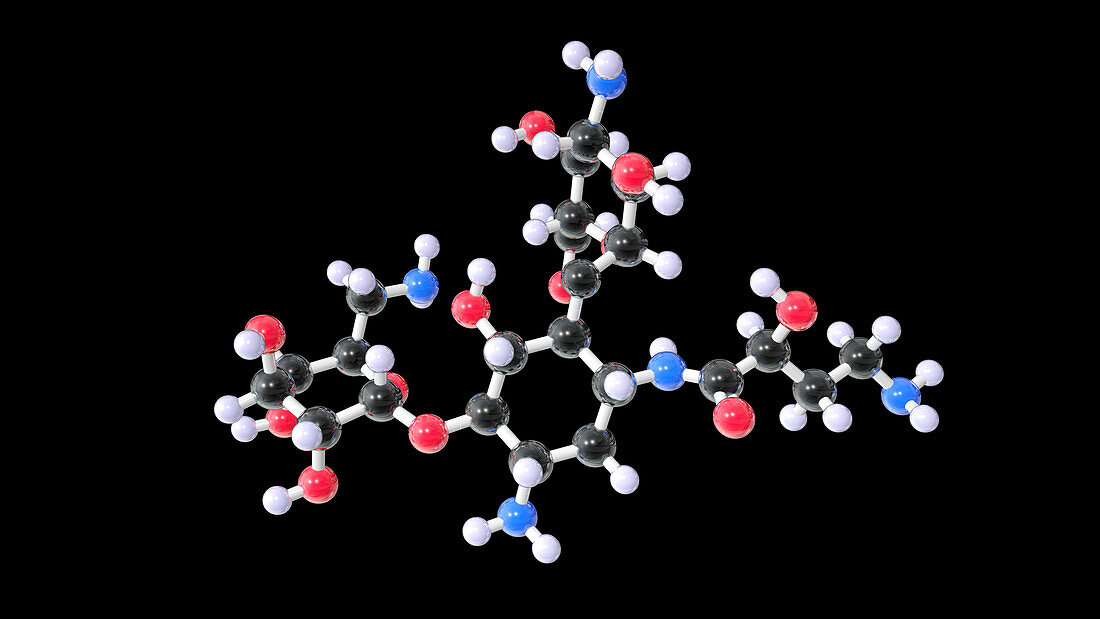 Amikacin antibiotic drug, molecular model