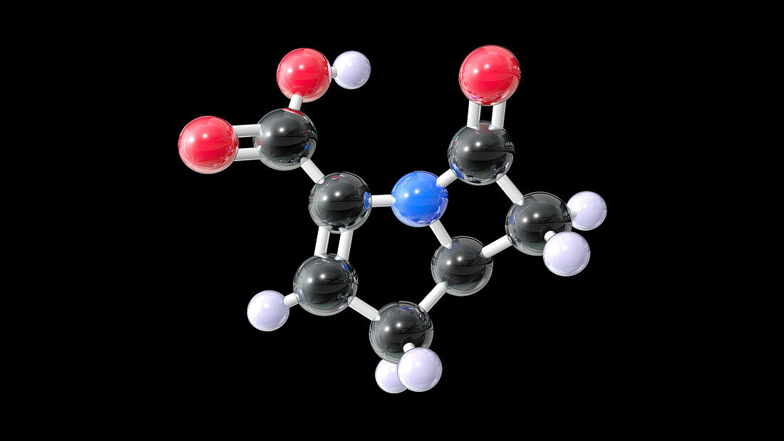 Carbapenem antibiotic drug, molecular model