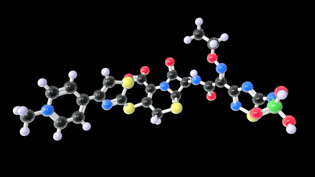 Ceftaroline antibiotic drug, molecular model