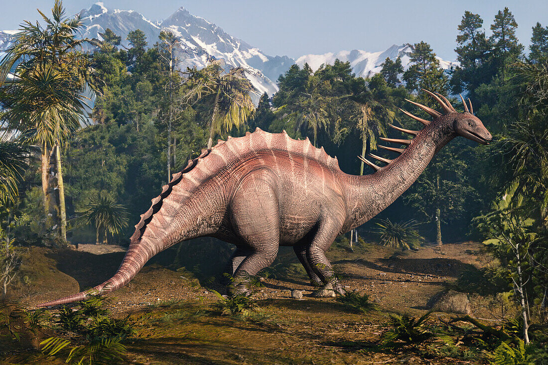 Amargasaurus dinosaur, illustration