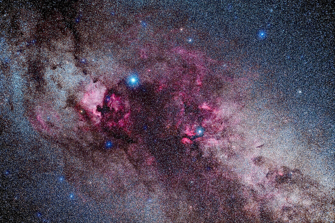 Starclouds and nebulas in central Cygnus