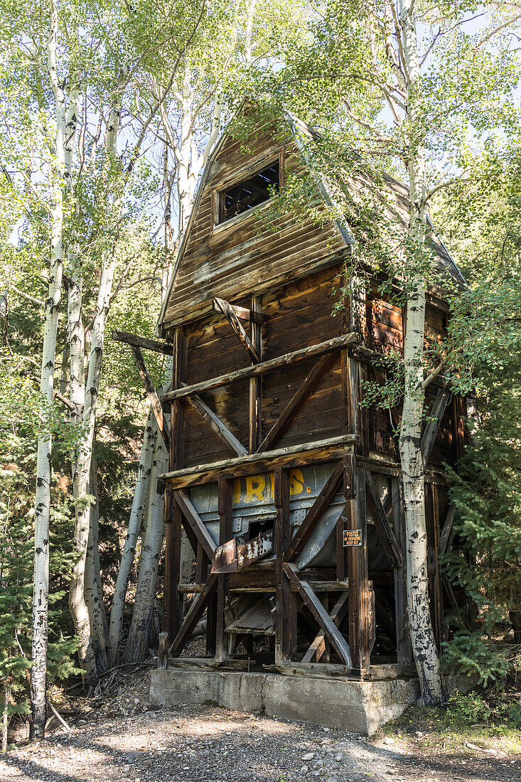 Wooden headframe over an old vertical gold mine shaft