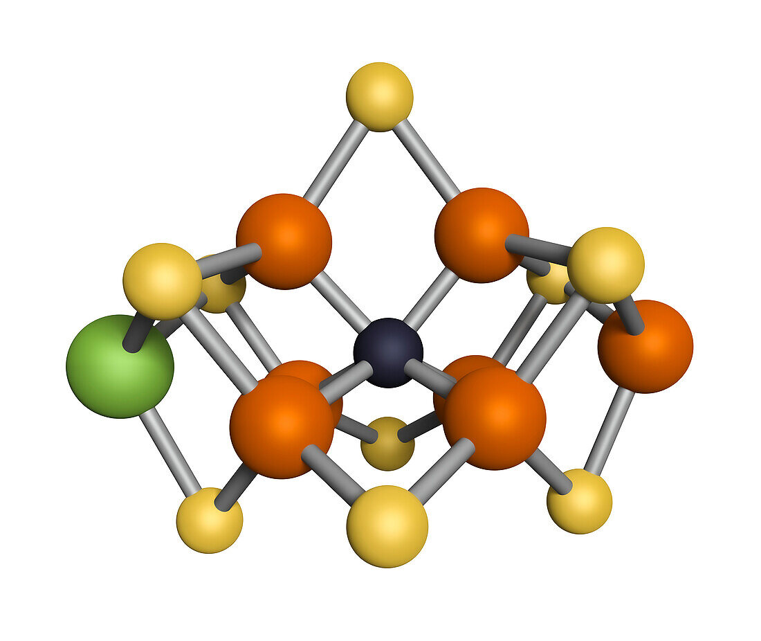 Iron-molybdenum cofactor of nitrogenase, molecular model