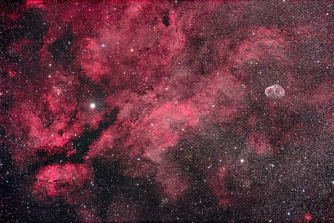 Nebulosity in Central Cygnus
