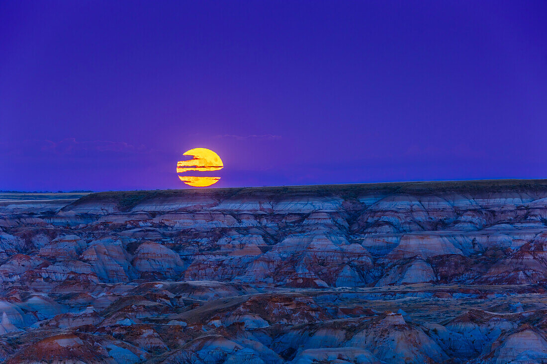 Harvest Moonrise over Dinosaur Park, Alberta, Canada