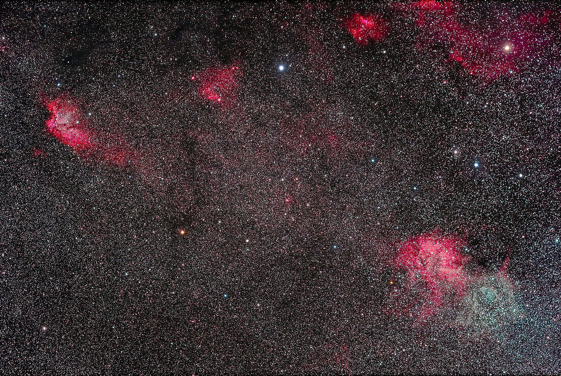 Wizard nebula and Delta Cephei region