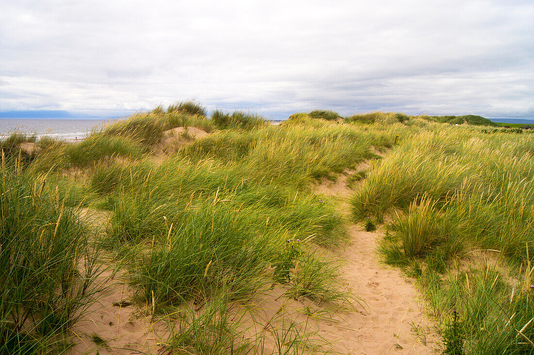Sand dunes north of Ayr, Scotland