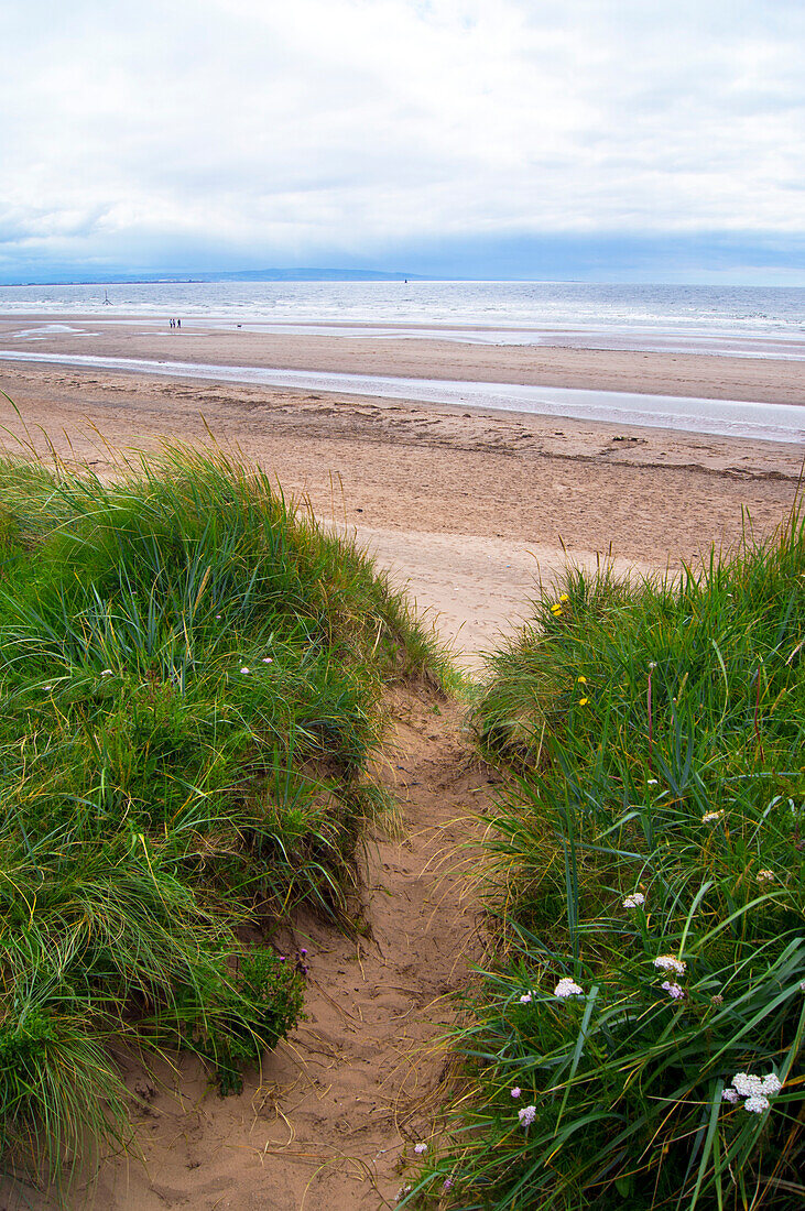 Sand dunes north of Ayr, Scotland