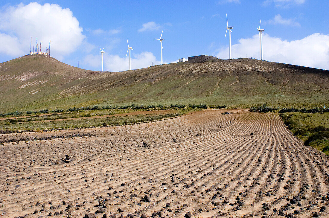 Windfarm and ploughed field