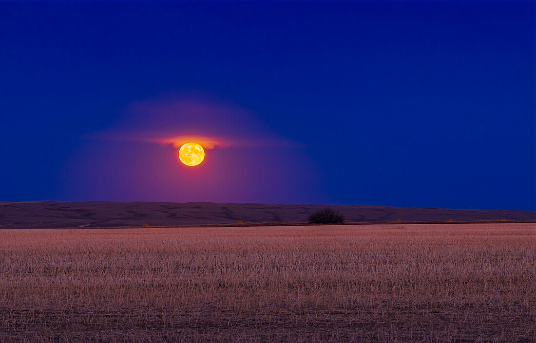 Hunter's Moonrise
