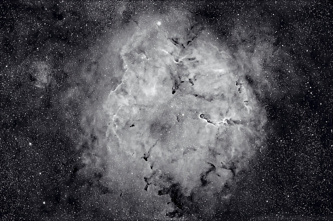 IC 1396 nebula