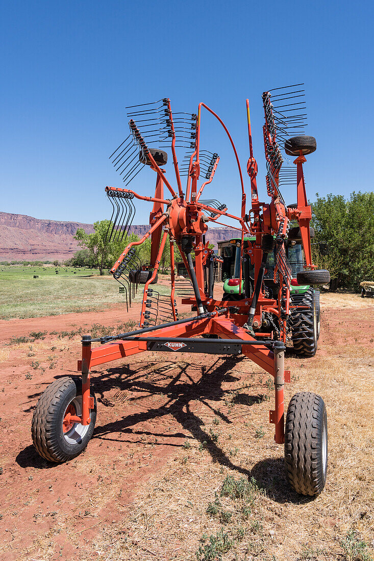 Rotors of a rotary rake combining hay