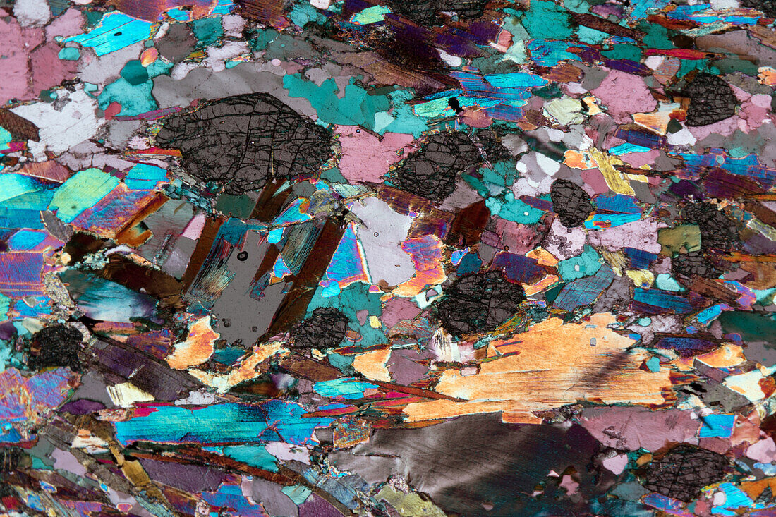 Orthogneiss, thin section, 30:1