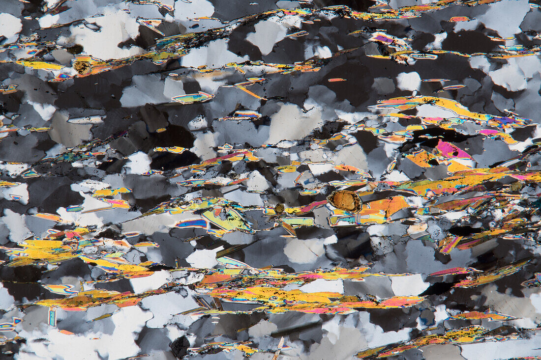 Paragneiss, thin section, 60:1