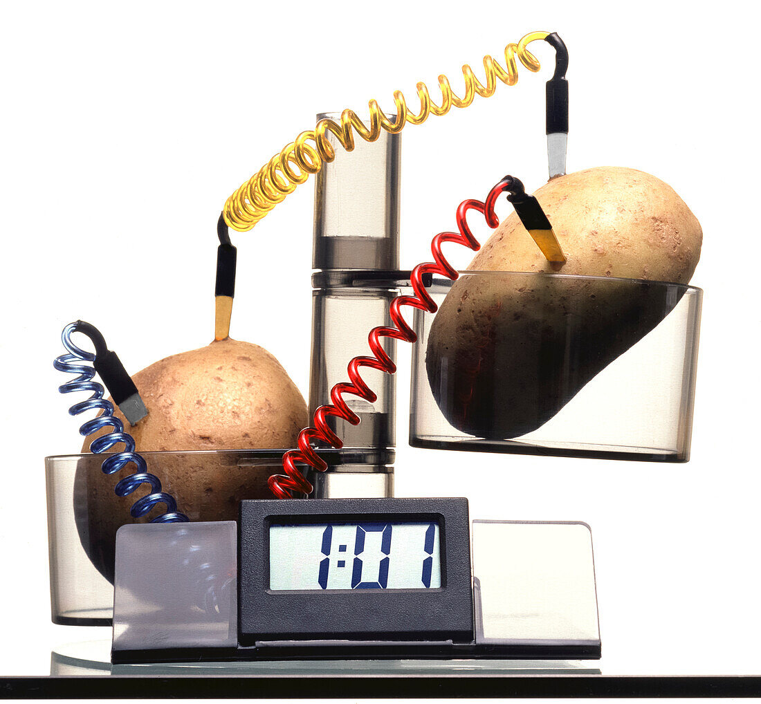Potato battery digital clock