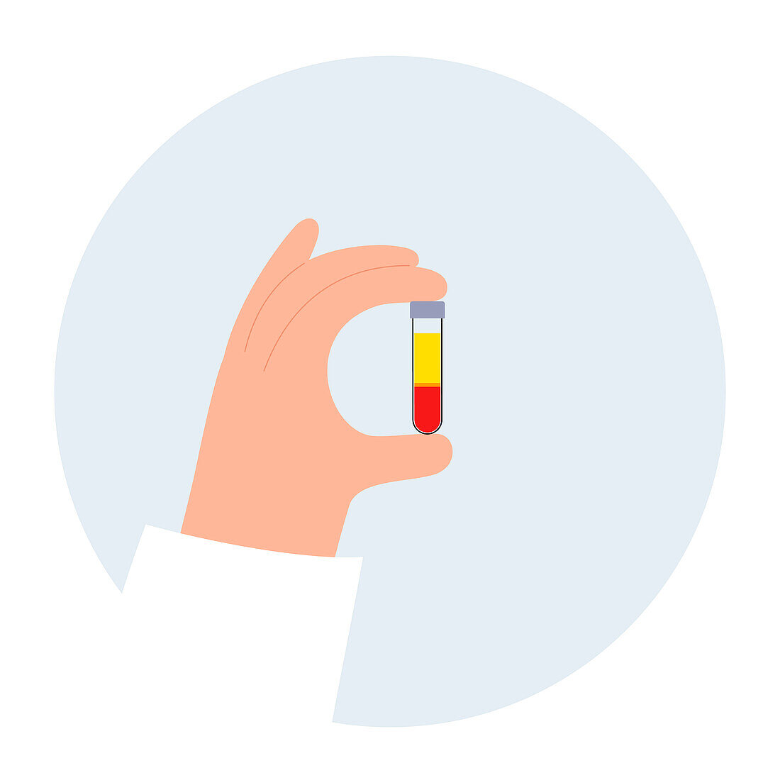 Blood composition, illustration