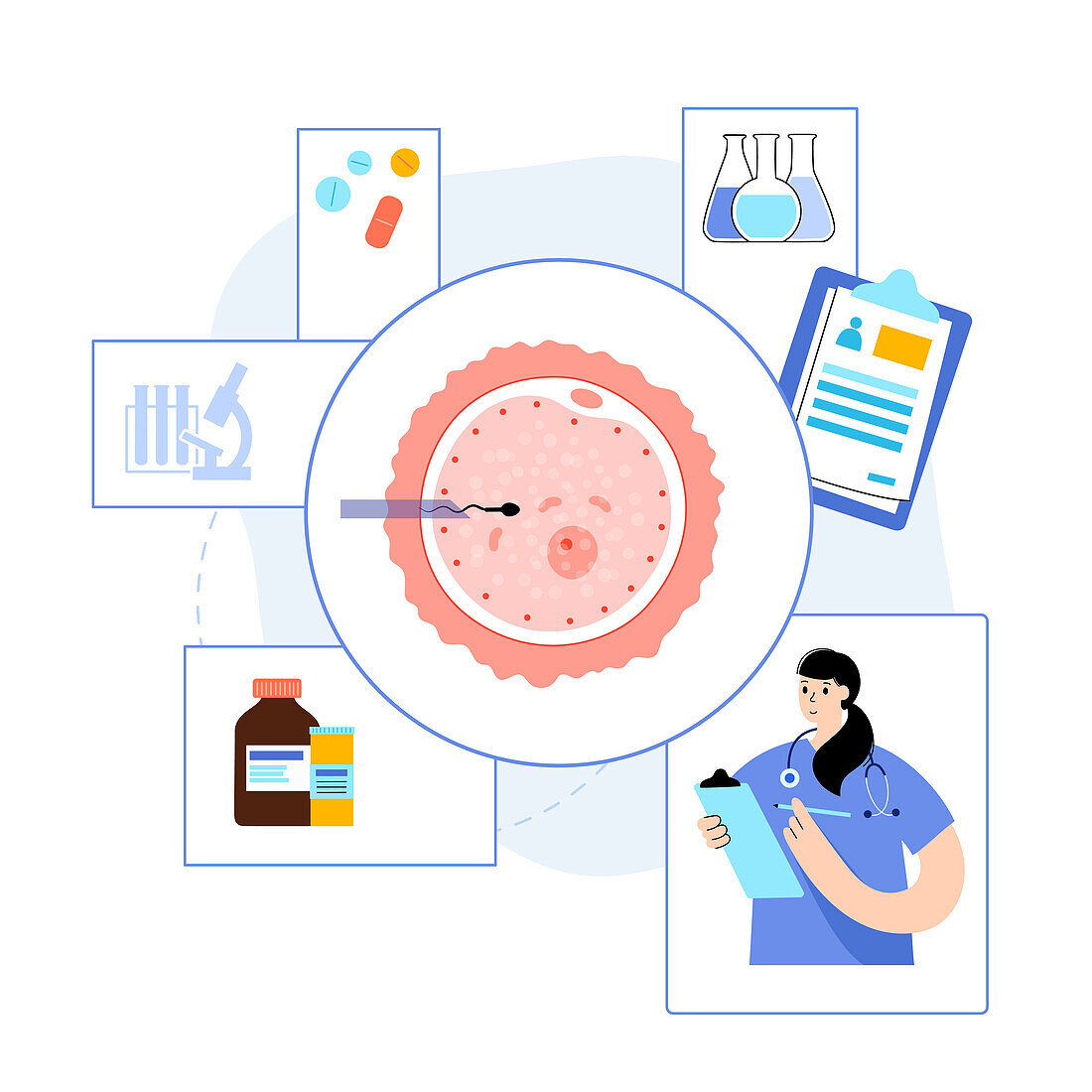 In vitro fertilisation, conceptual illustration