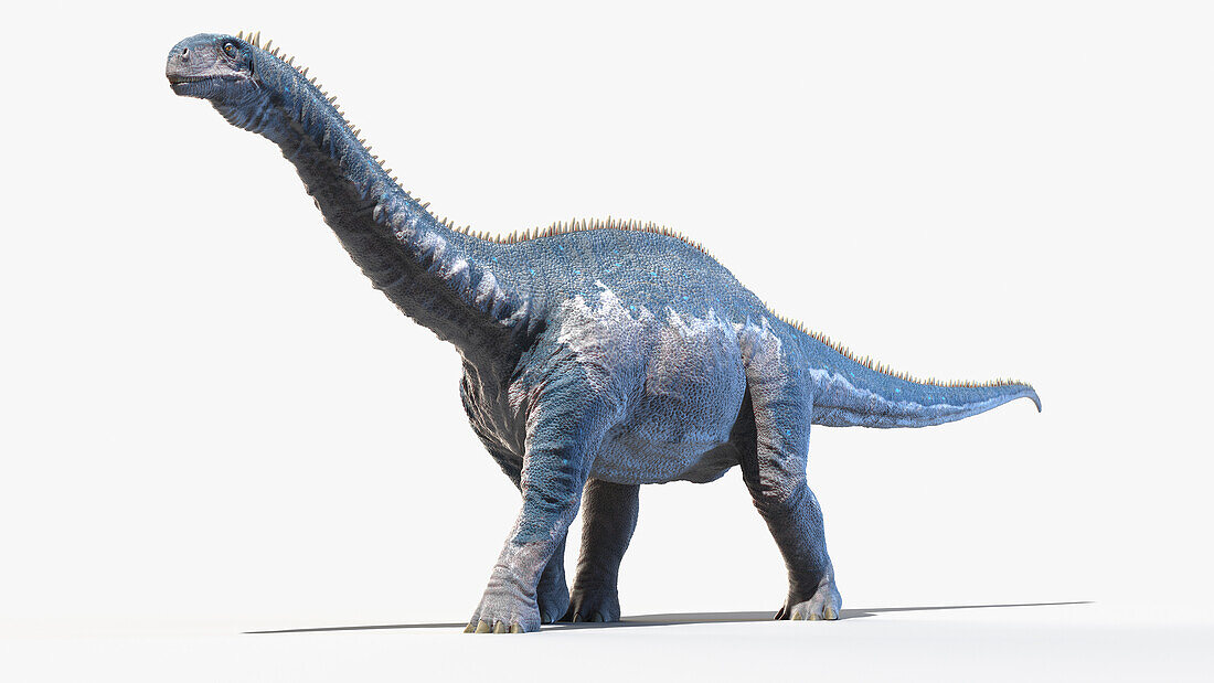 Isanosaurus, illustration