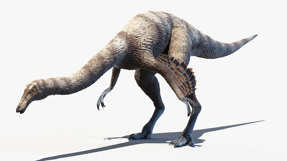 Ornithomimus, illustration