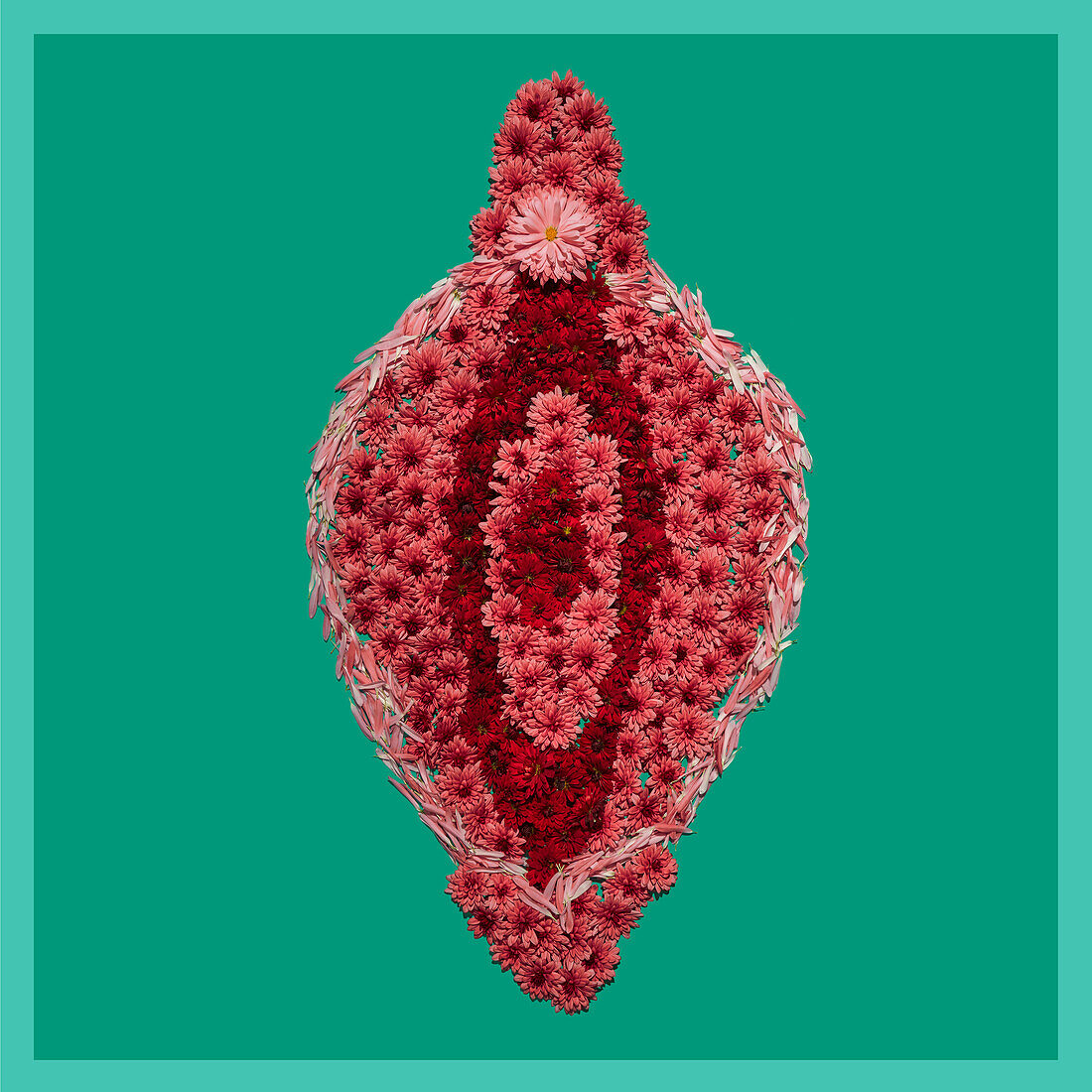Vulva, conceptual image