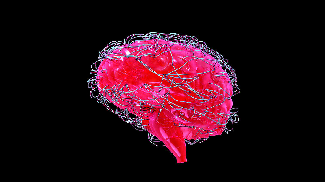Neuroscience, conceptual illustration