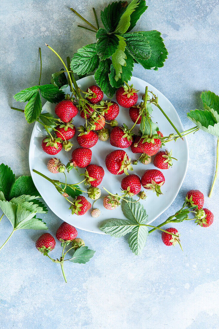 Frische Erdbeeren mit Blättern auf Teller
