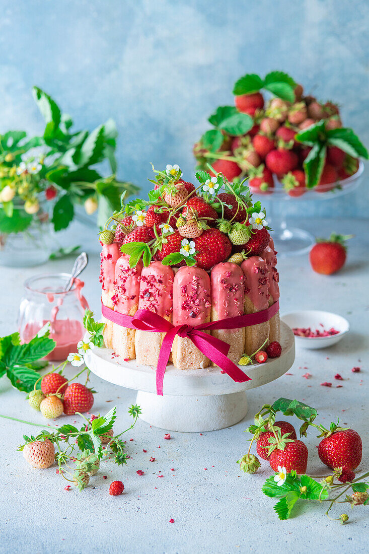 Erdbeer-Tiramisu-Torte mit rosa Schokolade und gefriergetrockneten Erdbeeren