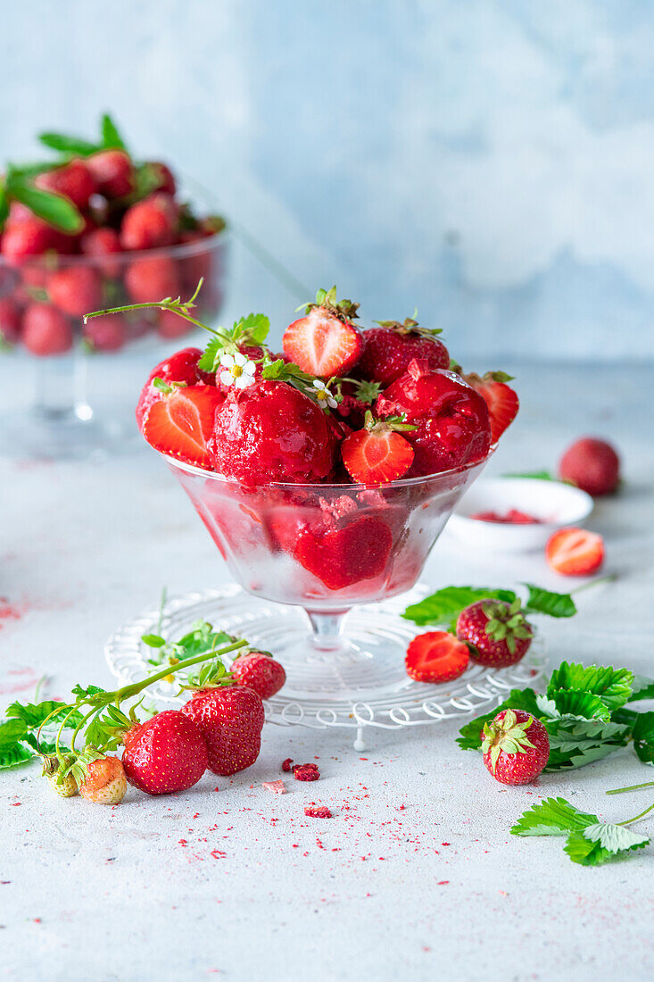 Erdbeersorbet garniert mit frischen Erdbeeren