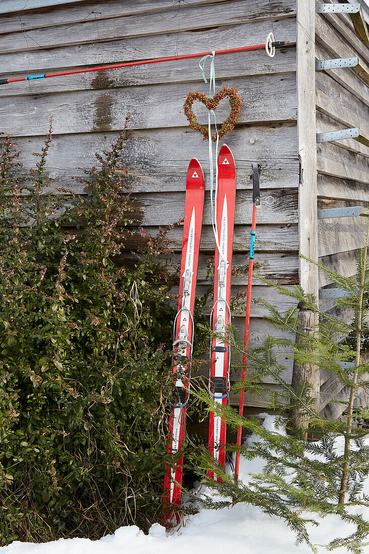 Skis and poles on a wooden house as a winter garden decoration