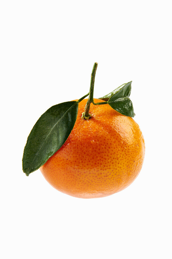 Mandarine vor weißem Hintergrund