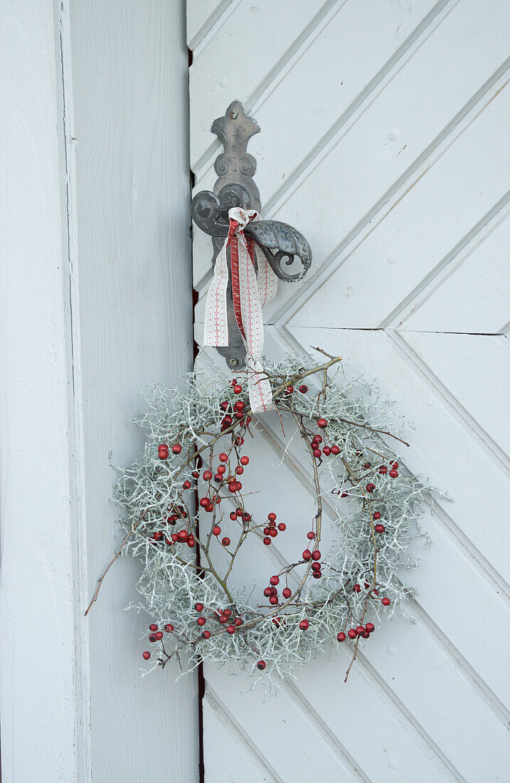 Wreath of hawthorn and cushion bush (calecephalus)