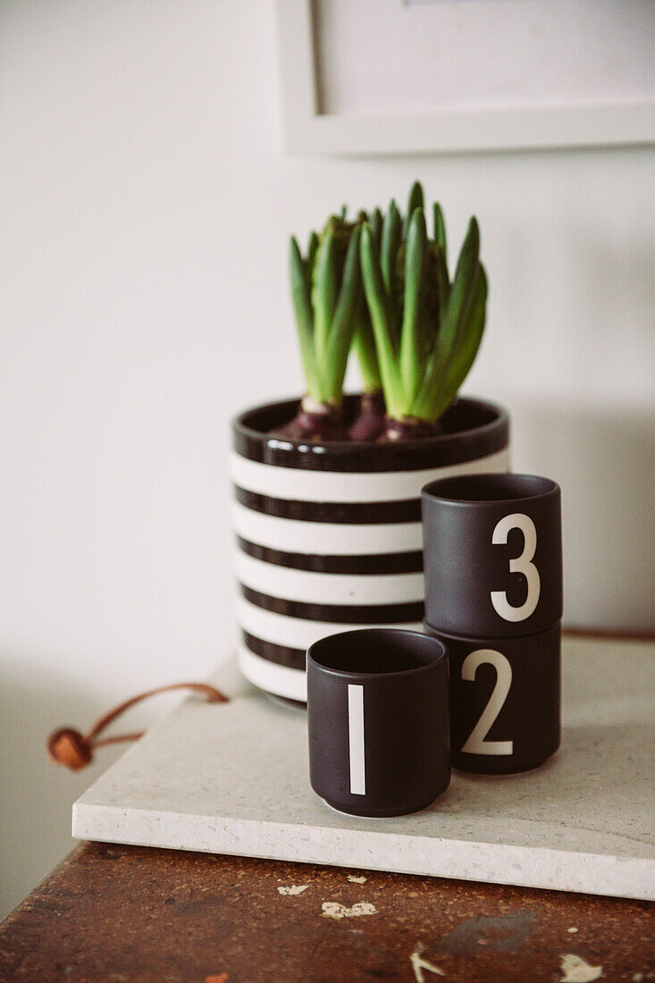 Hyacinth bulbs in a striped pot next to designer candle holders on a table