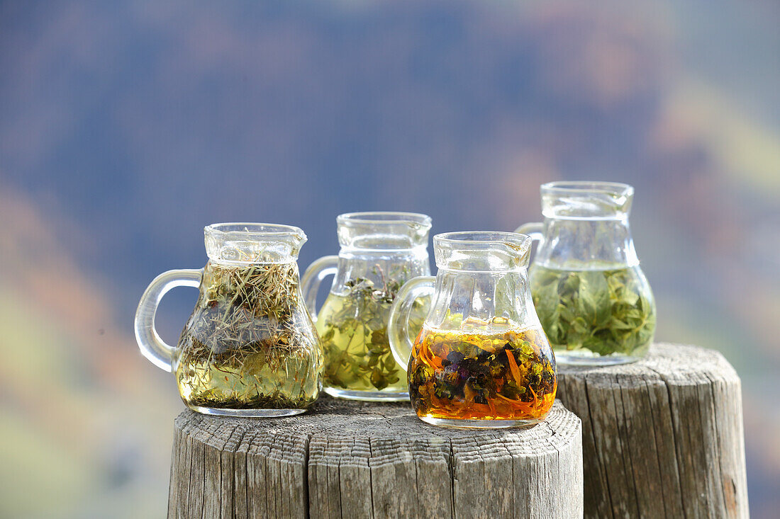 Various medicinal herb infusions