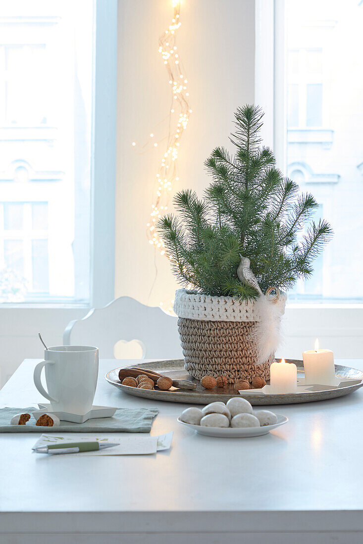 Small Christmas tree in a pot on a tray with candles and nuts