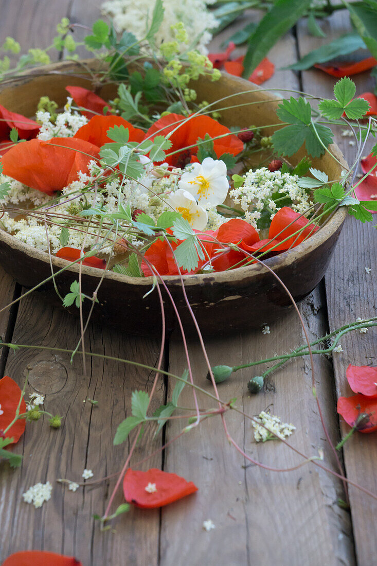 Steingut Schale mit Wasser, gefüllt mit Klatschmohn, Holunderblüten, Frauenmantel, Walderdbeeren und weiße Strauchrosen „Schneewittchen“