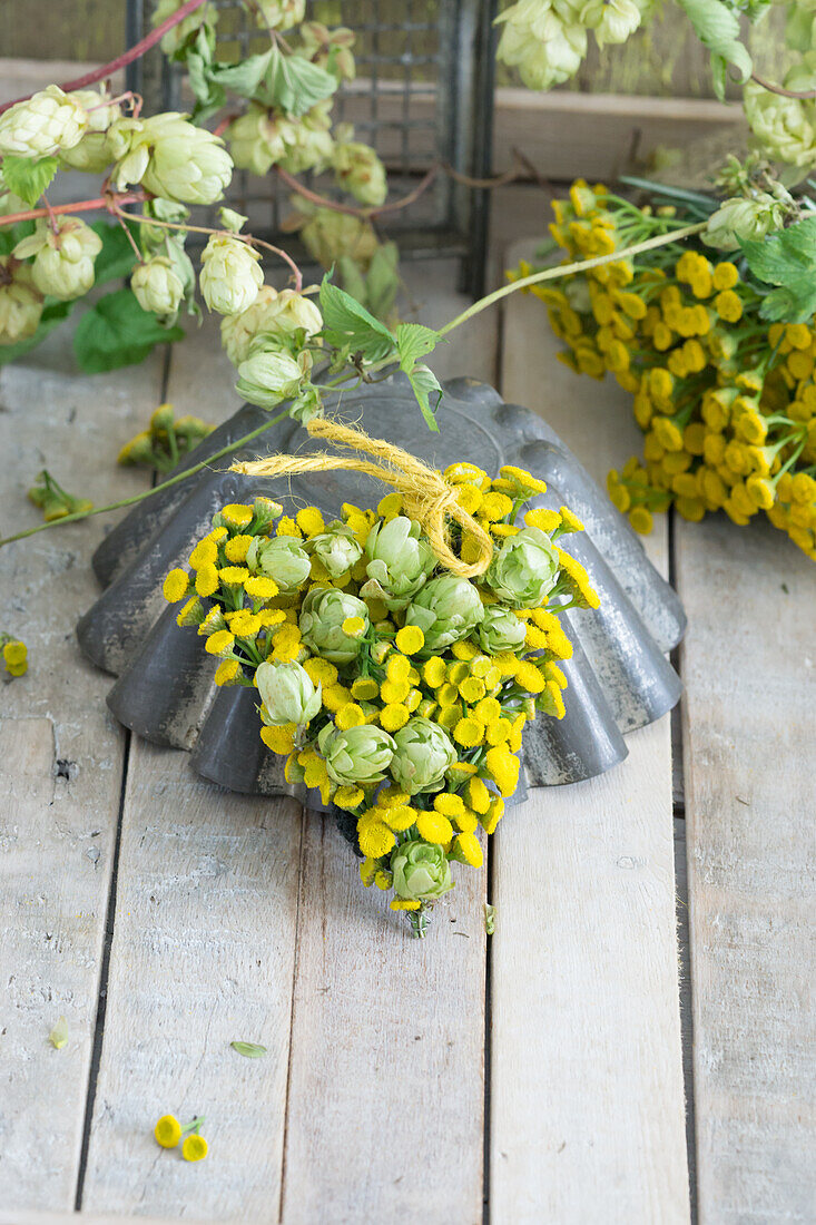 Herz aus Rainfarn (Tanacetum vulgare) und Hopfen (Humulus) mit Backform