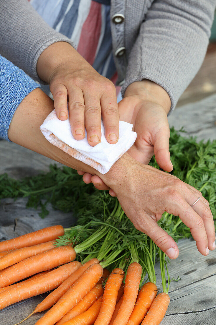Carrot wound dressing for poorly healing wounds and burns