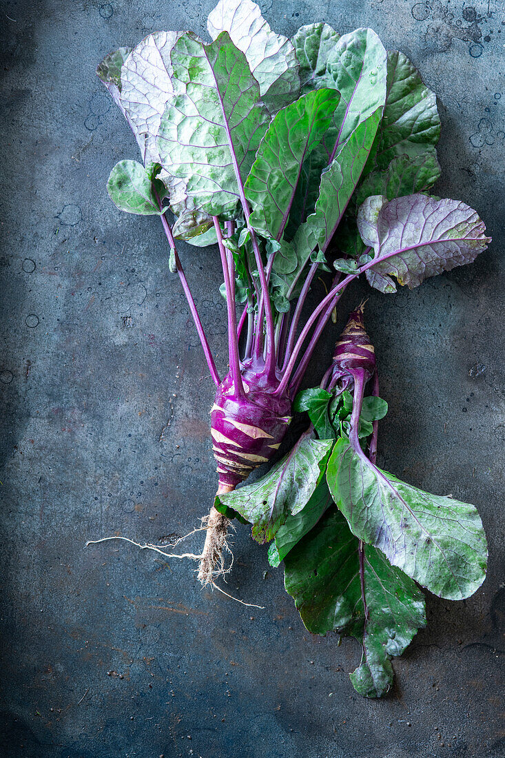 Lila Kohlrabi auf grauem Untergrund