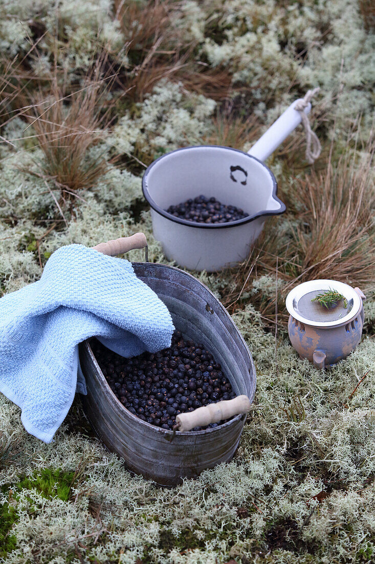 Juniper bath, juniper inhalation and juniper incense