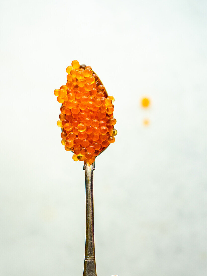 Close up of fresh red trout caviar