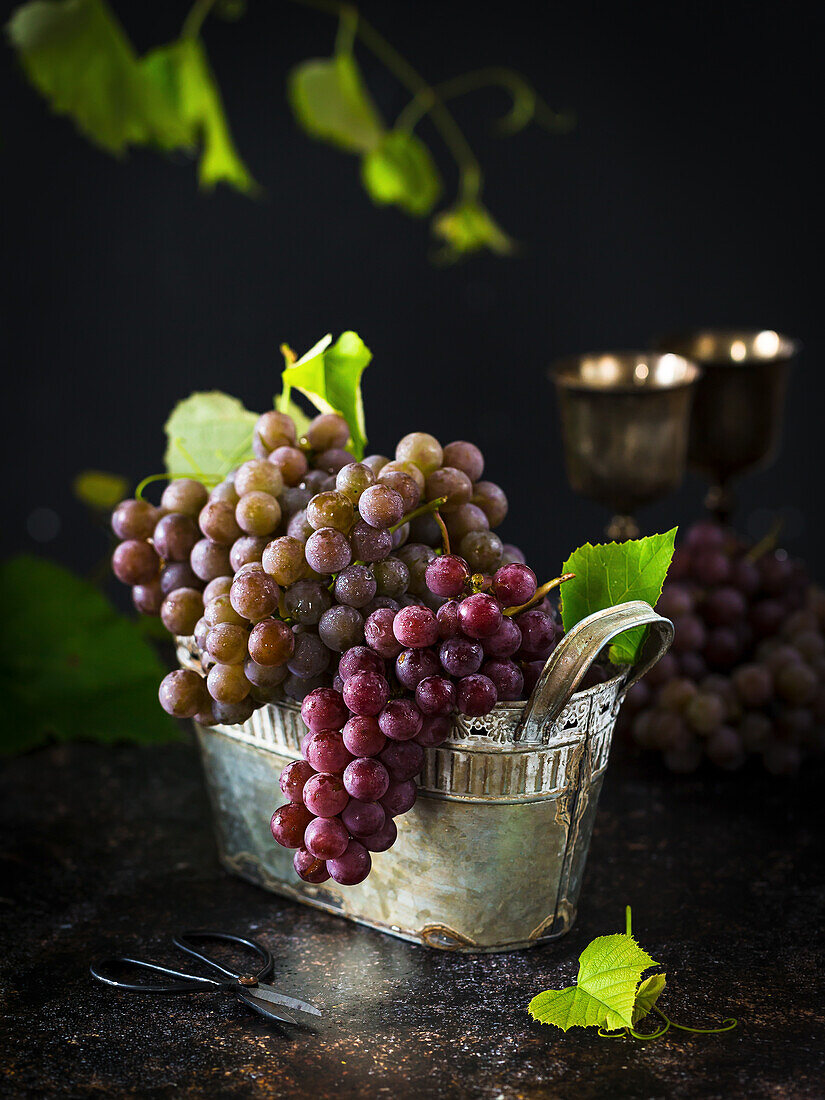 Grapes in vintage tin