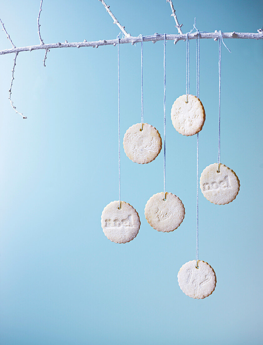 Christmas biscuits with white icing hanging from a branch