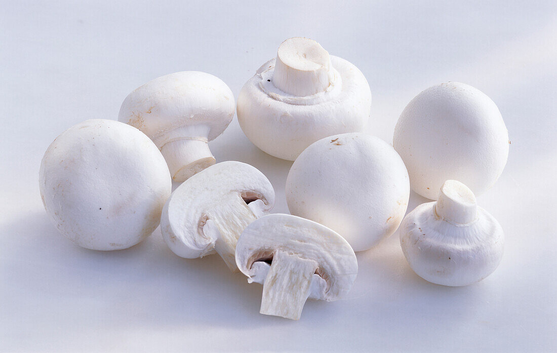 White mushrooms on a light background