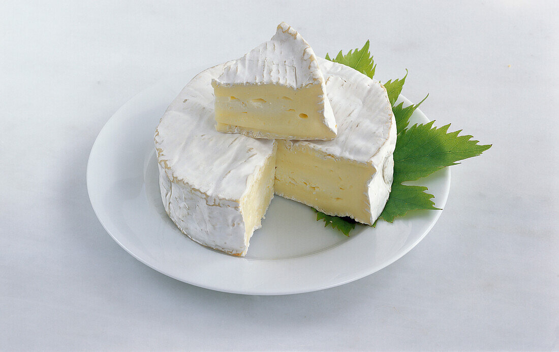 Camembert auf weißem Teller