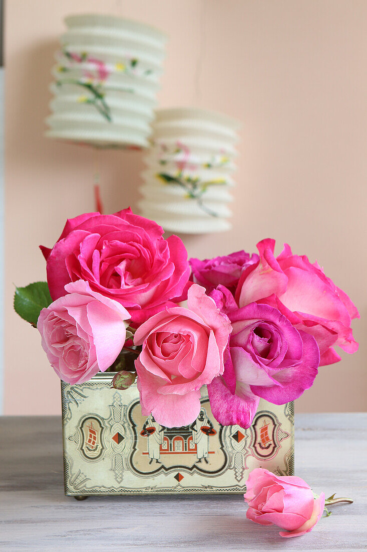 Pink roses in vintage box, above antique paper lanterns