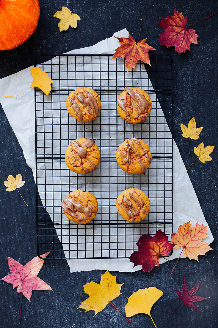 Autumn pumpkin cookies with chocolate icing