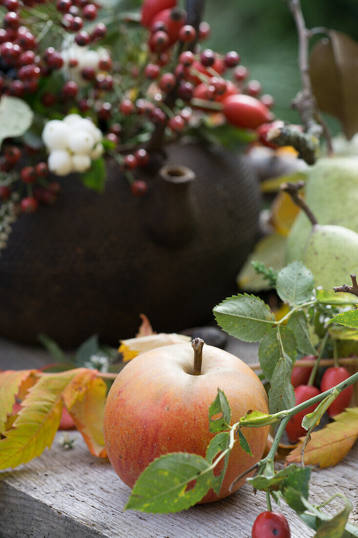 Apfel zwischen Herbstlaub und Hagebutten mit Teekanne