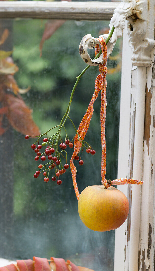 Apfel und Hagebuttenzweig, hängend an nostalgischen Fenstergriff